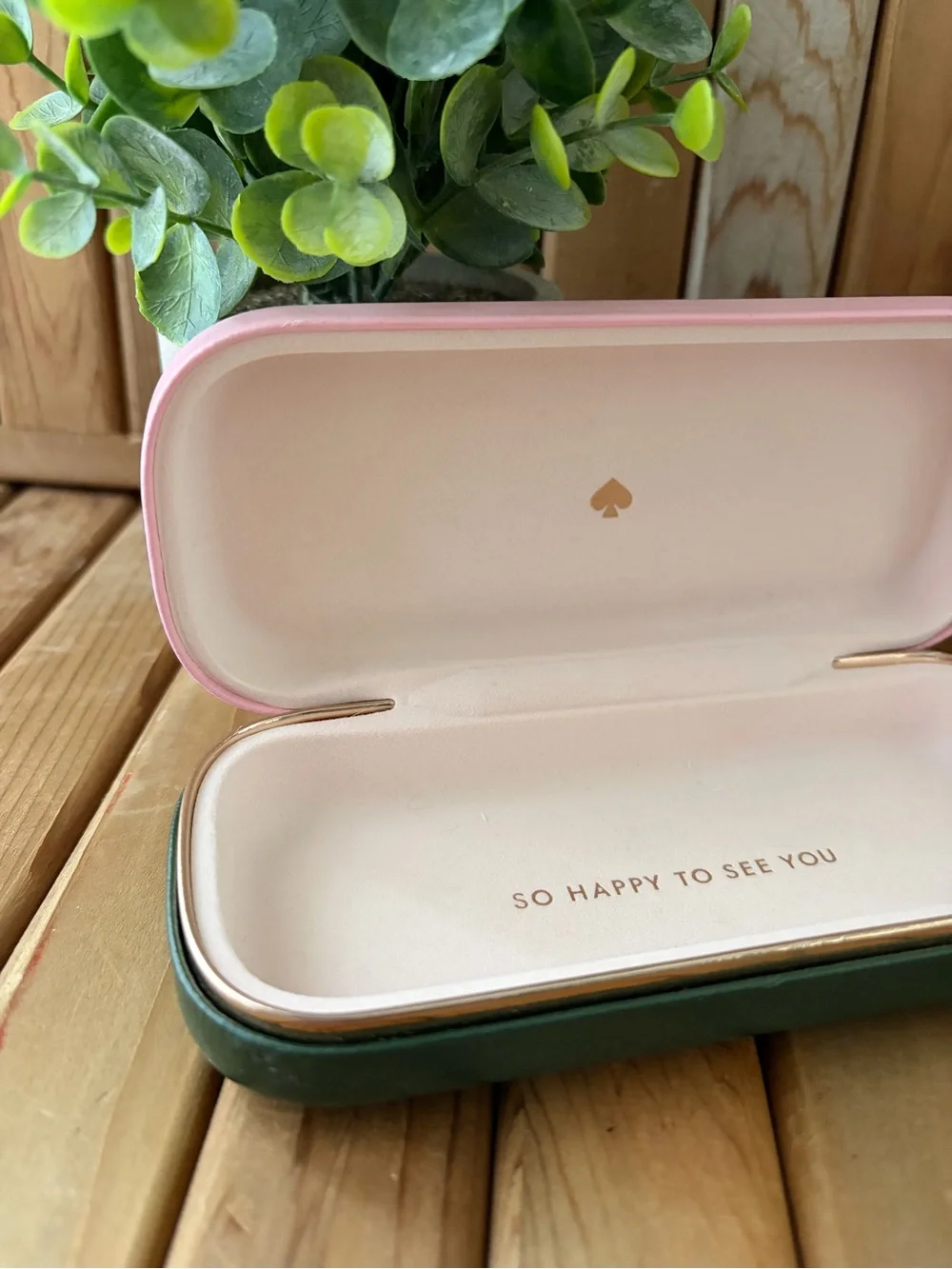 Kate Spade Eyewear Case, Colorblock, Green with Blush Pink Interior